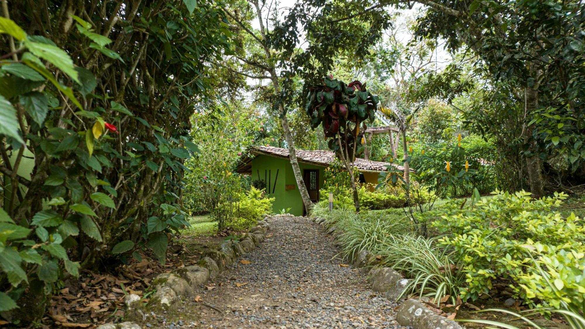 Finca Ecologica El Maco San Agustin  Room photo